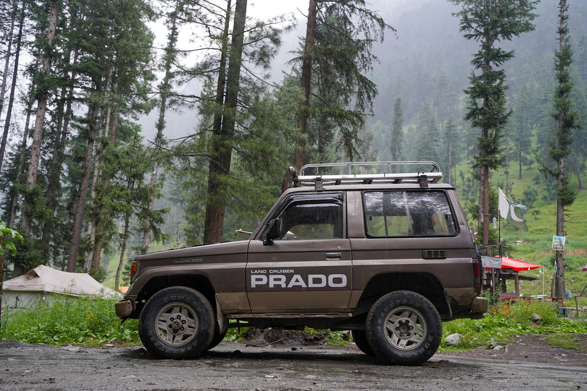 Toyota Land Cruiser Prado zaparkowana w zielonym, gęstym lesie