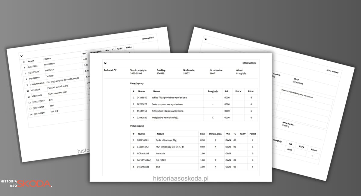 Historia serwisowa ASO Skoda