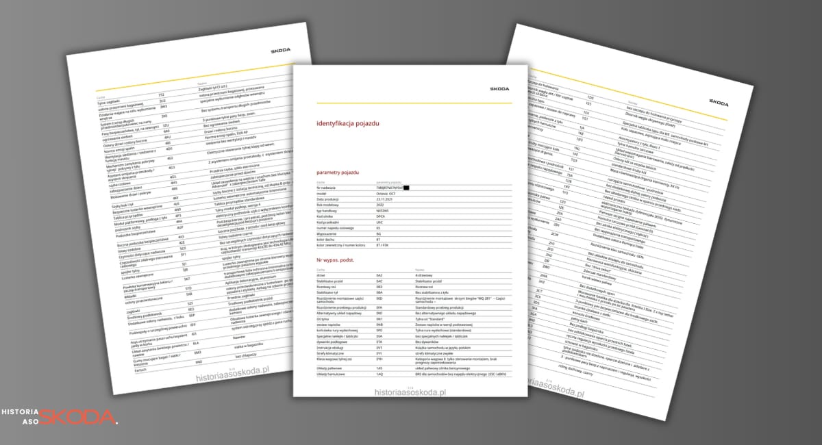 Wyposażenie po VIN Skoda