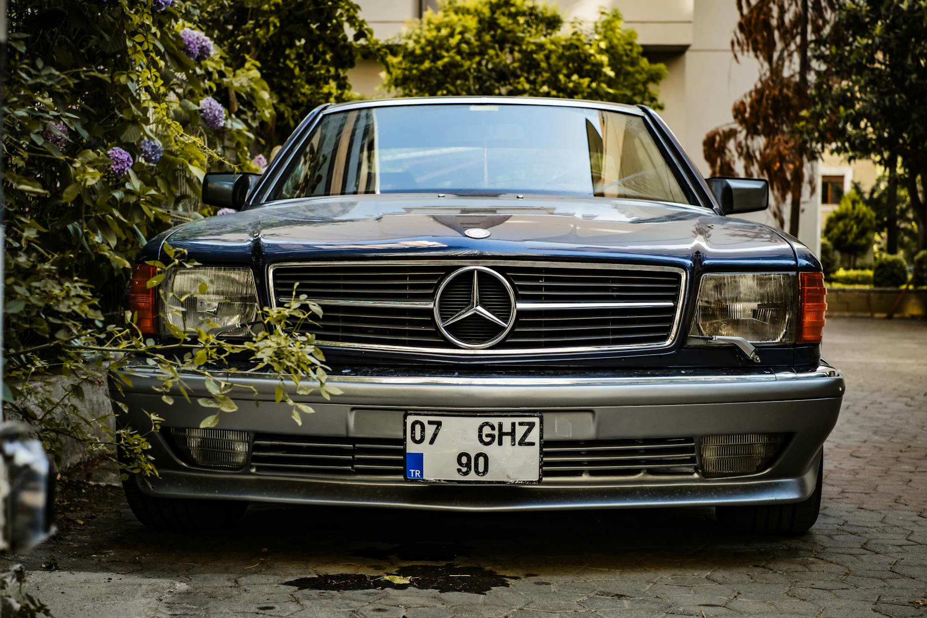 Klasyczny Mercedes-Benz sedan z przodu, zaparkowany w otoczeniu zieleni Klasyczny Mercedes-Benz sedan z przodu, zaparkowany w otoczeniu zieleni